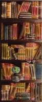 "Libreria"- Ecoline su carta